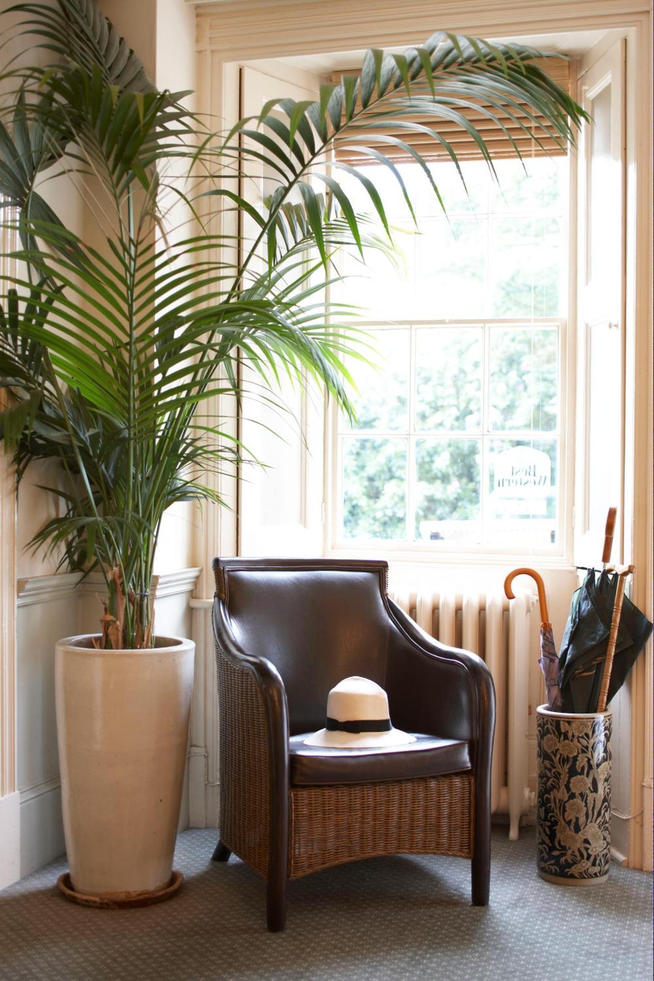Flackley Ash Country House Hotel Peasmarsh Dış mekan fotoğraf