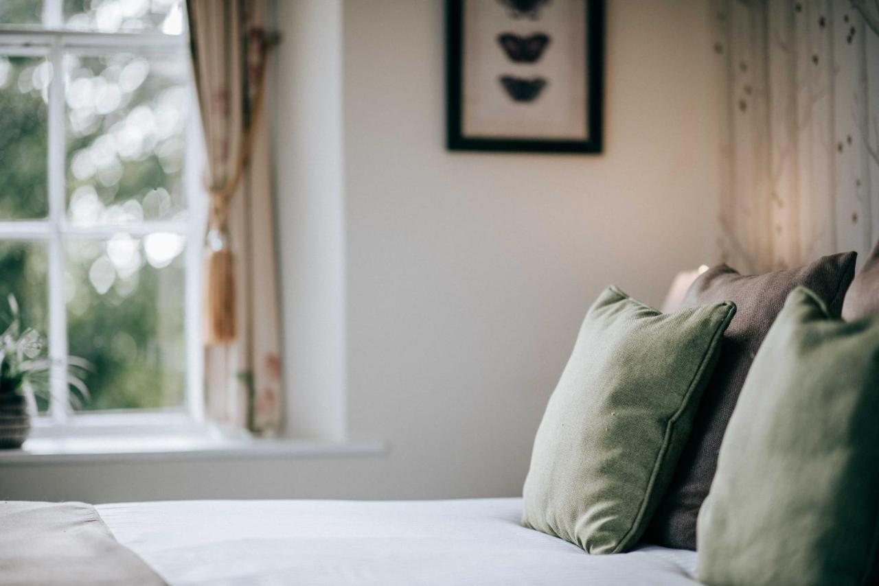 Flackley Ash Country House Hotel Peasmarsh Dış mekan fotoğraf